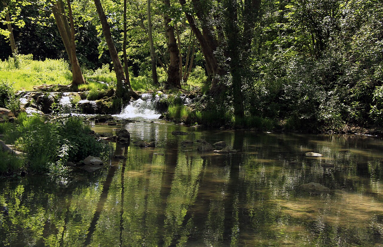 Le Lez bordé d’arbres le long du sentier des berges