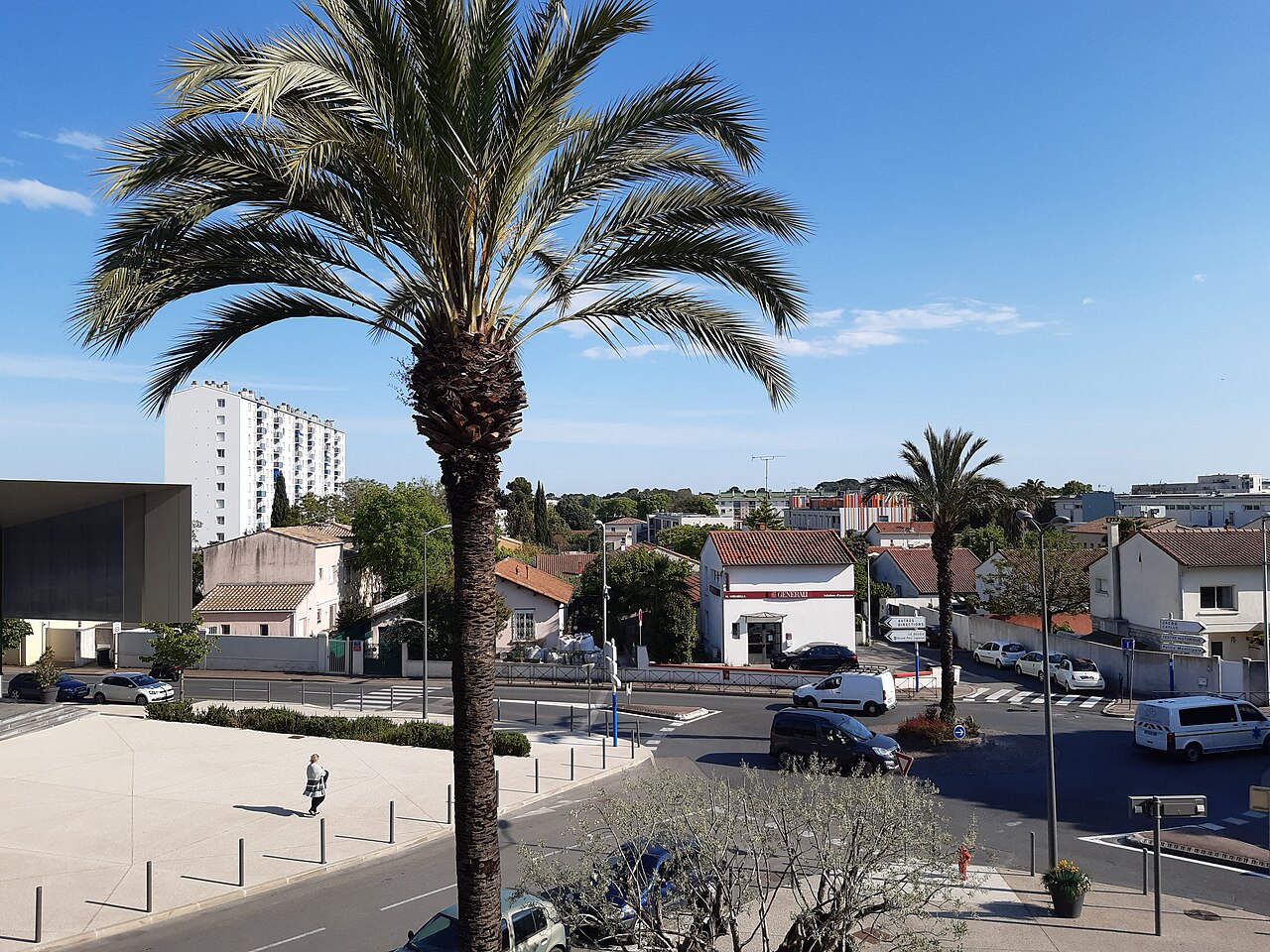 Vue sur un quartier r&eacute;sidentiel de Castelnau-le-Lez avec palmiers