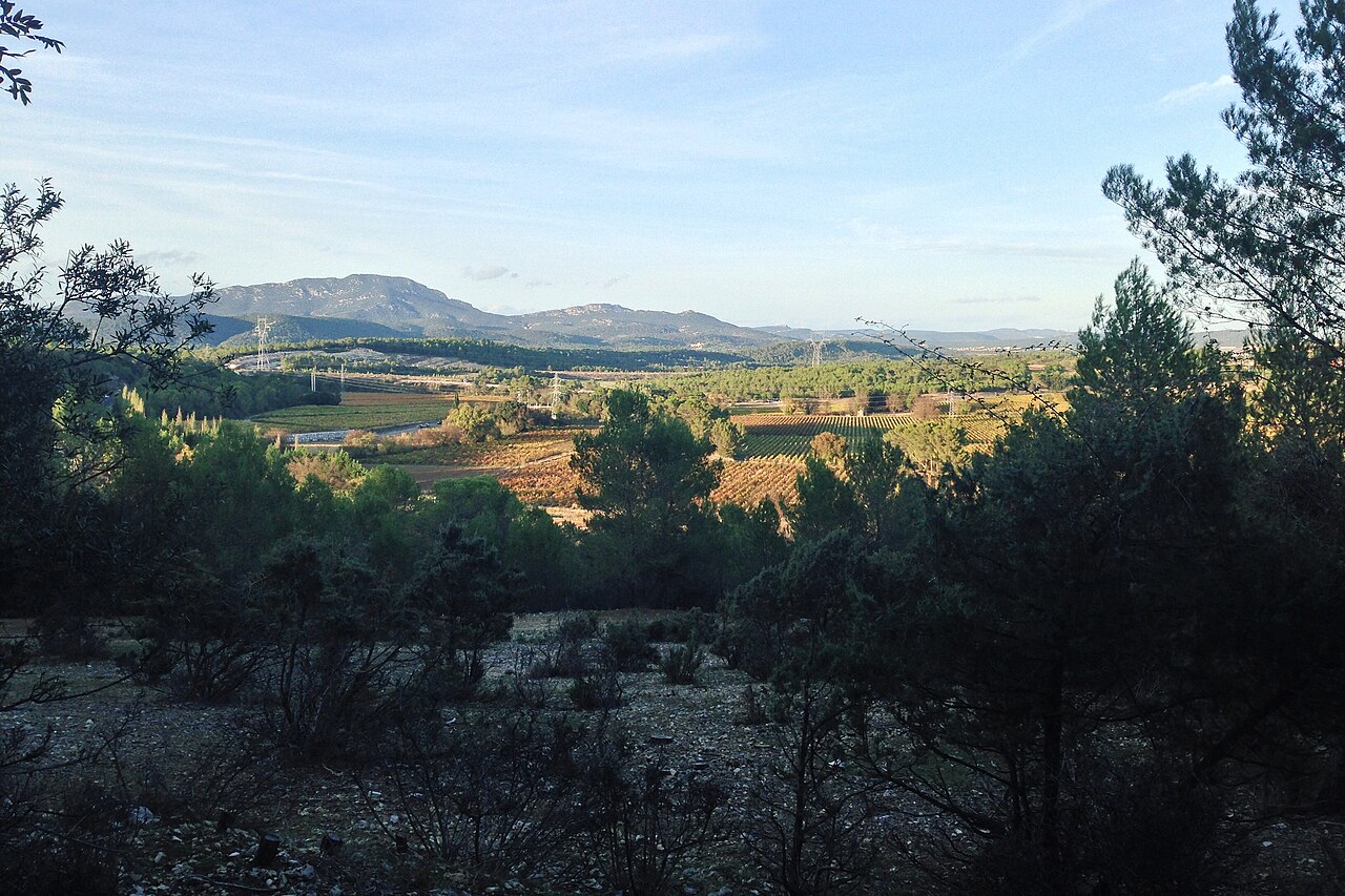 Vue sur la garrigue, les vignes et les massifs du Pic Saint-Loup depuis le parc de Coulondres