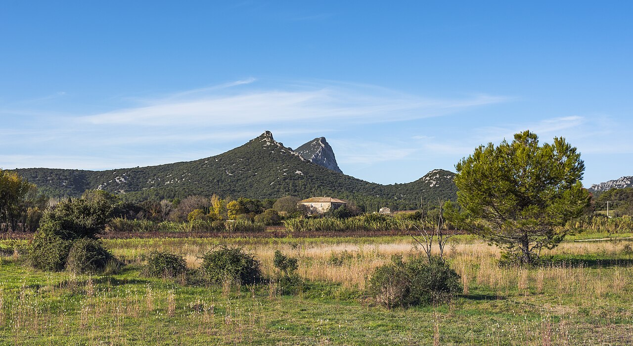 Le Pic Saint-Loup et l’Hortus dominant les vignes et la garrigue